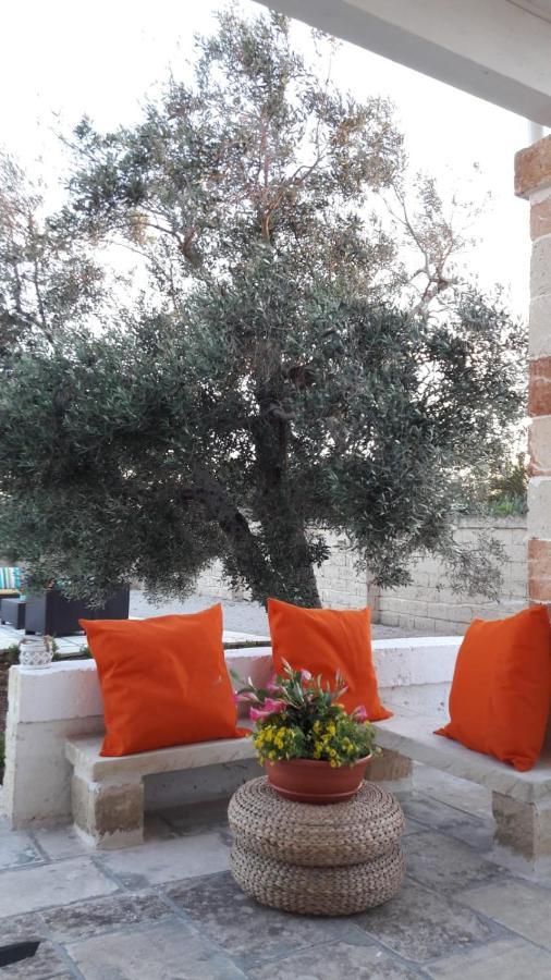 Collemeto La Dimora Dei Conti B&B 외부 사진